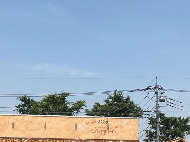 ��肳��̃V���N���[�h�̓��e�ʐ^1