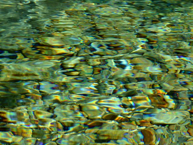 ���ʂ̎��F�����߂�_�����k�J