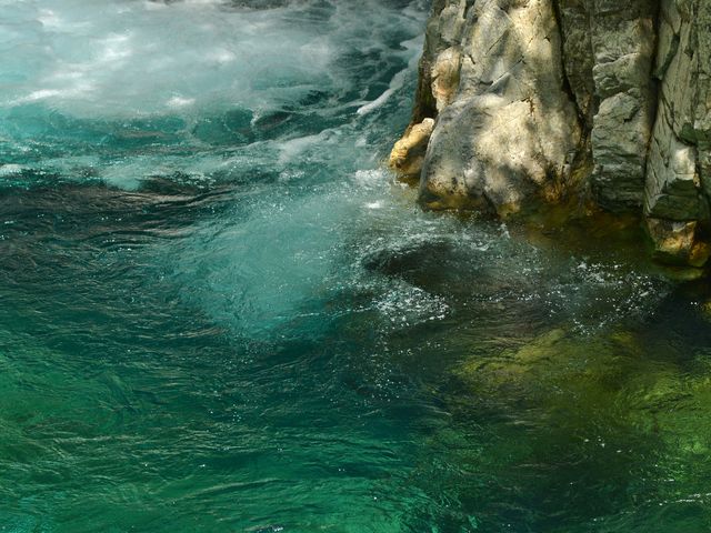 �[�݂̂���R�o���g�u���[�̗���_�����k�J