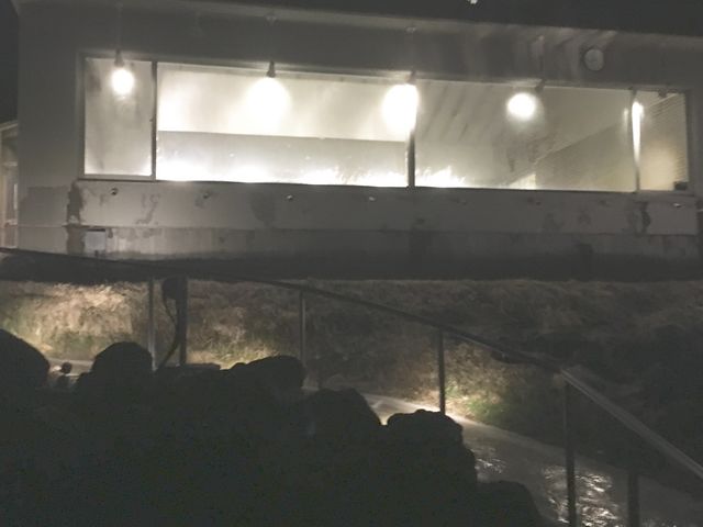 �[��Q���߂��ɘI�V���C���猩���A�����̌������i�B���グ��ƁA���V�̐�����ō��ł������I�i�S/�T�j_�����v�����X�z�e��