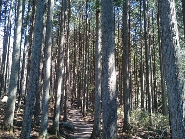 ��_���k�J