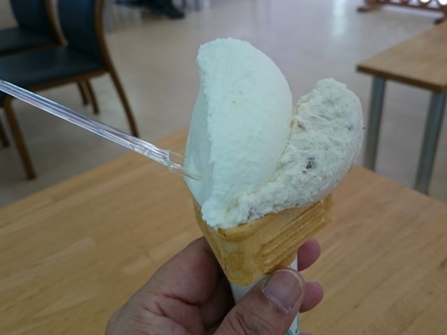 mon-t̗֒򕨎Yق̓eʐ^2