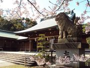 ނ炳񂳂̑啪썑_Ђ̓eʐ^4