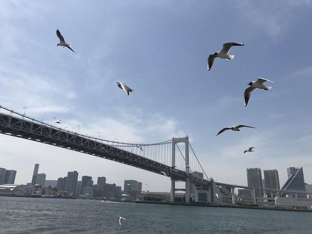 C{[ubW̉ʉ߂܂_sόDD