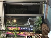 ����������̂��炽���̓��e�ʐ^1