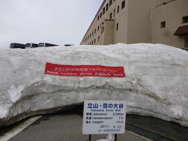 �����ɂ����̑�J�̊��}�̊Ŕ�_�����^�[�~�i��