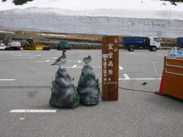 �����ƋL�O�B�e_�����^�[�~�i��