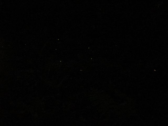 ^Ȏʐ^łA悭݂ƃz^̌܂iiphoneŎBej_oix