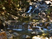 gV`̓VR̐ΓԂ̓eʐ^1