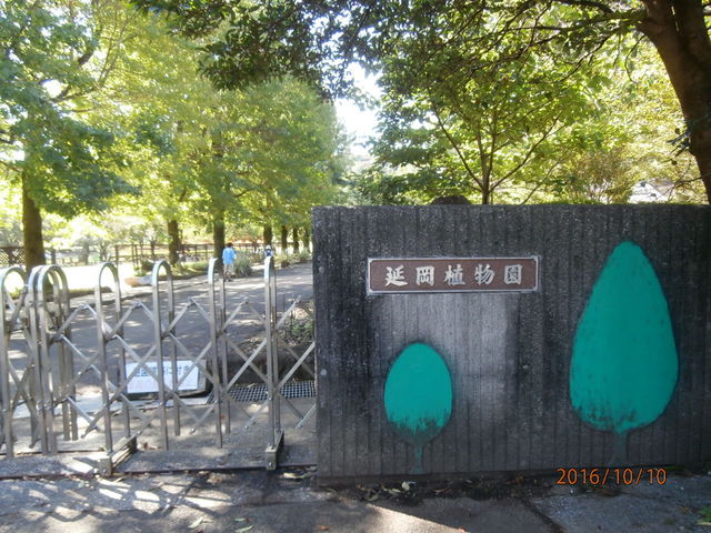 �A���������_�����A����