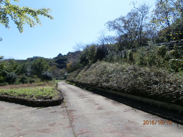 ���̐�������ƐA����_�����A����