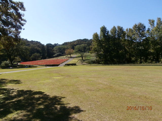 �L��_�����A����