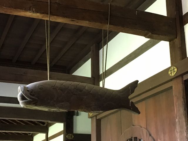 �m���O_������