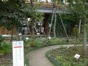 ς܂̓̉w₢ GRfnEXiȖ،sj̓eʐ^1