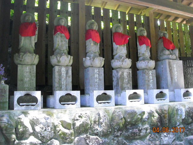 �Z�n��_������