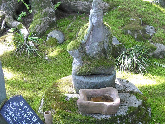 JGf΂̊ω_Dԁ@P̃R~lJGf