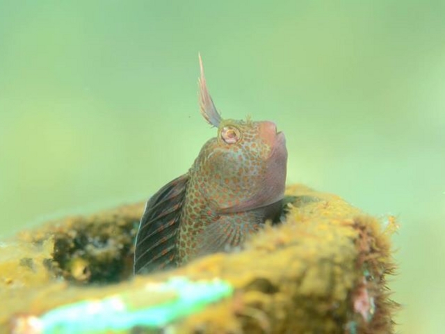 �M���|�`�S(�B�K���K)�_�_�C�r���O�V���b�vKIAORA