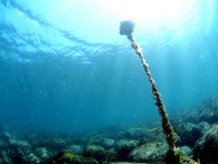 mõ_CrOVbvKIAORAւ̓eʐ^1