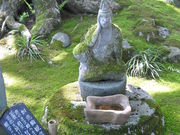 SS̎Dԁ@P̃R~lJGf̓eʐ^2