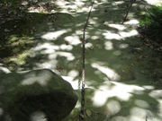 SS̒DO\Ԗ@iʎႨMωj̓eʐ^1