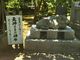 とらねこさんの日枝神社（静岡県沼津市）への投稿写真3