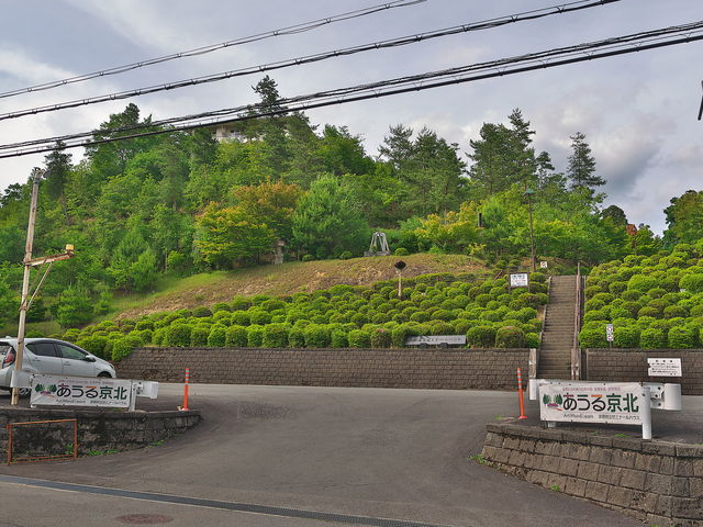 sklfh̋s{[~i[nEXu鋞kv̓eʐ^1