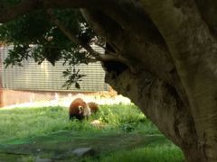 ݂肳̔Moiijւ̓eʐ^2