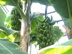 ݂肳̔Moiijւ̓eʐ^3