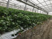 ̏kc_@䕂̃}VF̓eʐ^1