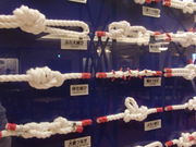 moomĩGE}[܂Â̓eʐ^1