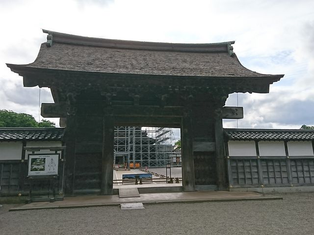 ����_������