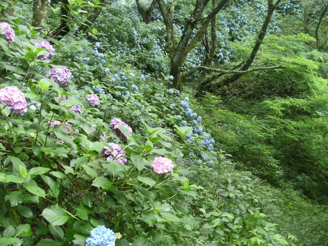 �R�̎Ζʂɂ�������_���z�ԃ��[�h