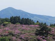 ڂ肳̖NR̃~}LV}̓eʐ^3