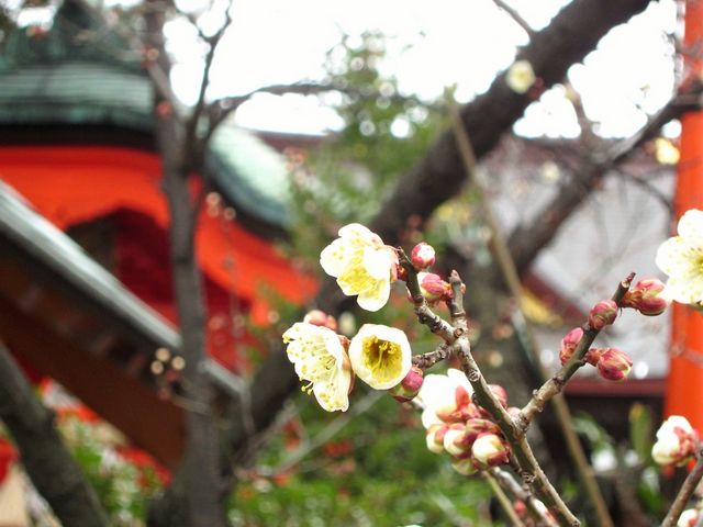 �։��V���{�̔~_�։��V���{