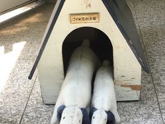 �`��������̖k���q �t�˖����p�قւ̓��e�ʐ^1