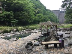 panchan̍IVCւ̓eʐ^4