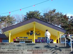 t.ȏOT[rXGAO򃌃Xgւ̓eʐ^1