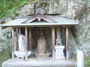 gV[̊DR̍⒆n̓eʐ^1