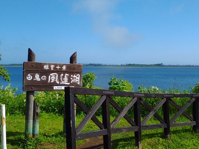 ���̉w����̎ʐ^�ł�_���̉w �X�����S�S�˂ނ�