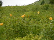 Ⴝ낤̖~jbRELXQQ̓eʐ^1