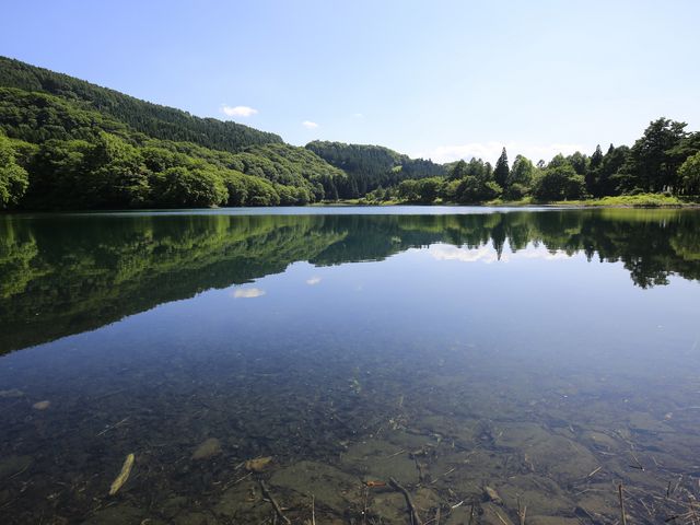 ��������@���̒J�n��_��������