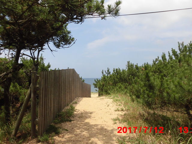 ���m�����𔲂�_���̕l�C������