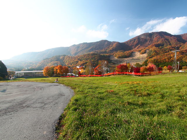 ��������̍g�t_��������