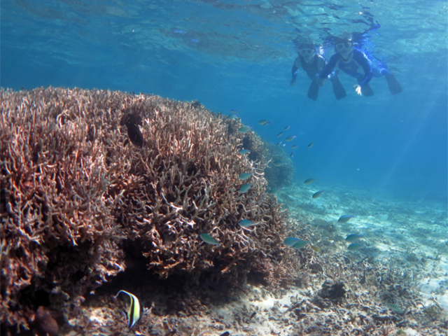 �}�X��̂��΂ɂ��Y��ȋ�����������B�C���X�g���N�^�[���񂻂̓s�x���J�ɐ������Ă���܂����B_�A�}�~�G���V�X