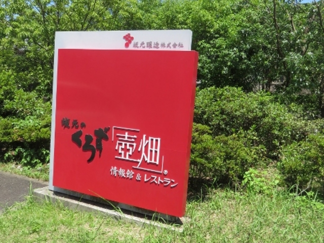 �O��_�⌳�������낷���� �┨