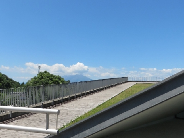 ���i_�⌳�������낷���� �┨