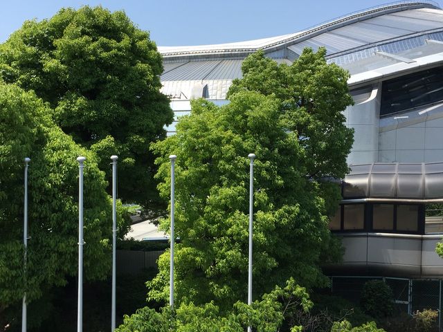 w̒ʘH_ۑPCebNv[mv[n