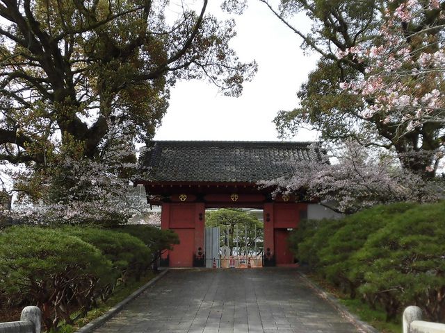 �A_�������