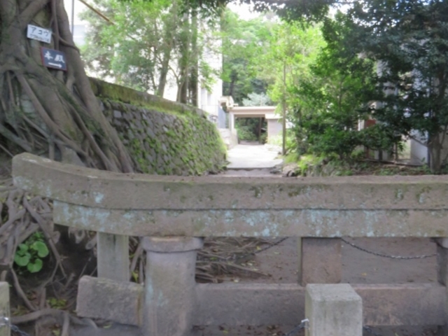 ����_���_���v����