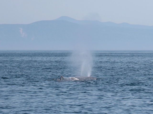 }bRENWƍ㓇_LВmlC`[N[Y